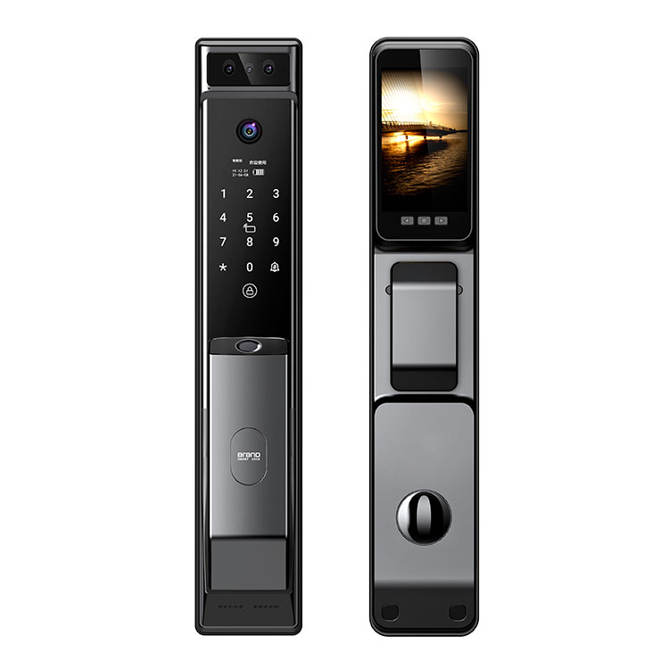 Sarrerako atearen zein sarraila egokitzen da zure etxera eta aurrekontua?